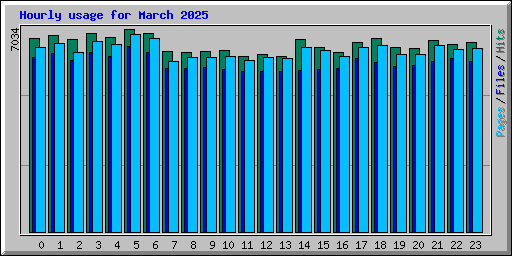 Hourly usage for March 2025