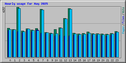 Hourly usage for May 2025