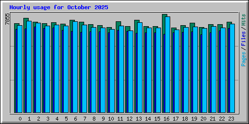 Hourly usage for October 2025