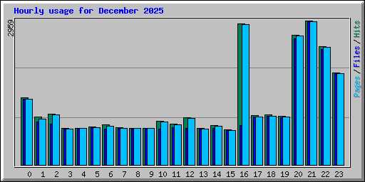 Hourly usage for December 2025