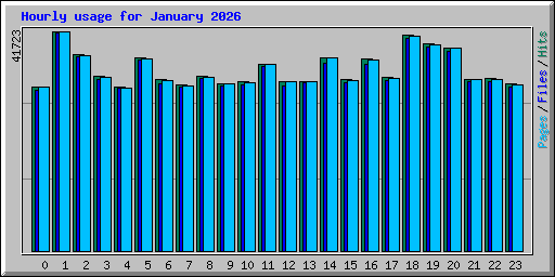 Hourly usage for January 2026